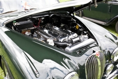 ZI9V1597