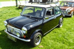 mini-p1000127_26937315745_o